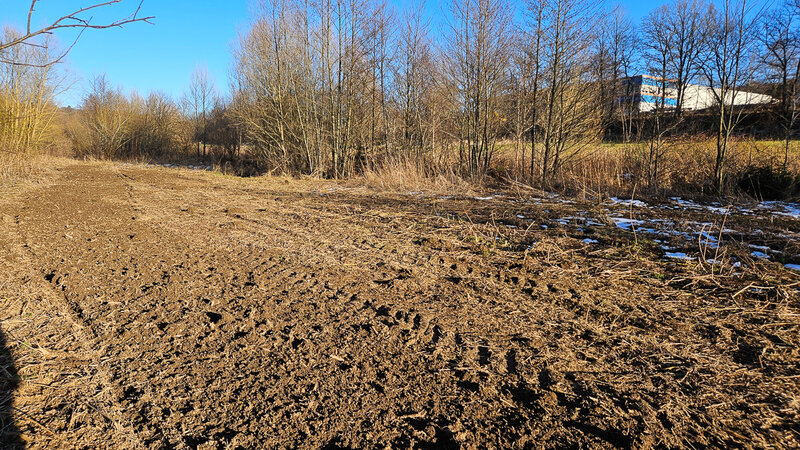 2024_151314_Entbuschung_Burbach_nachher_AB_B.Hinkers