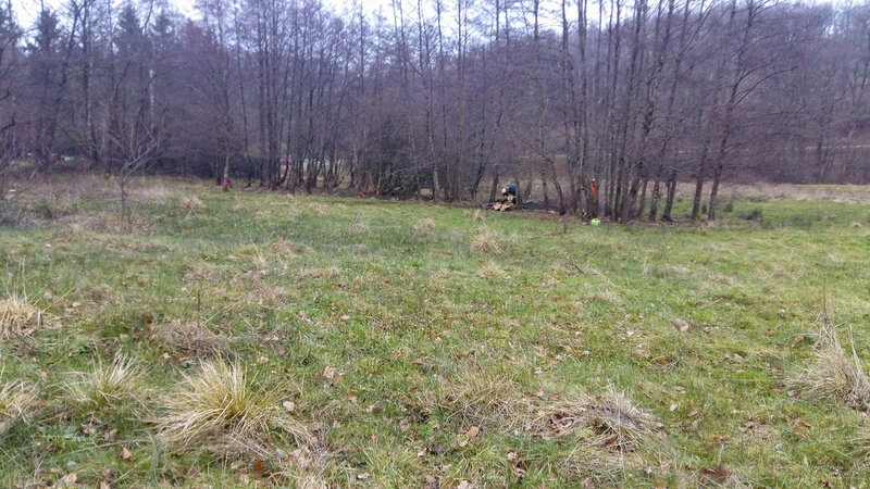 2024_154025_Entbuschung_Gernsdorf_vorher_AB_B.Hinkers