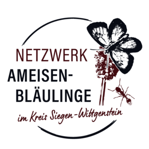 Netzwerk Ameisenbläuling